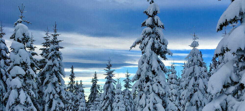 Skitur på Ringkollen